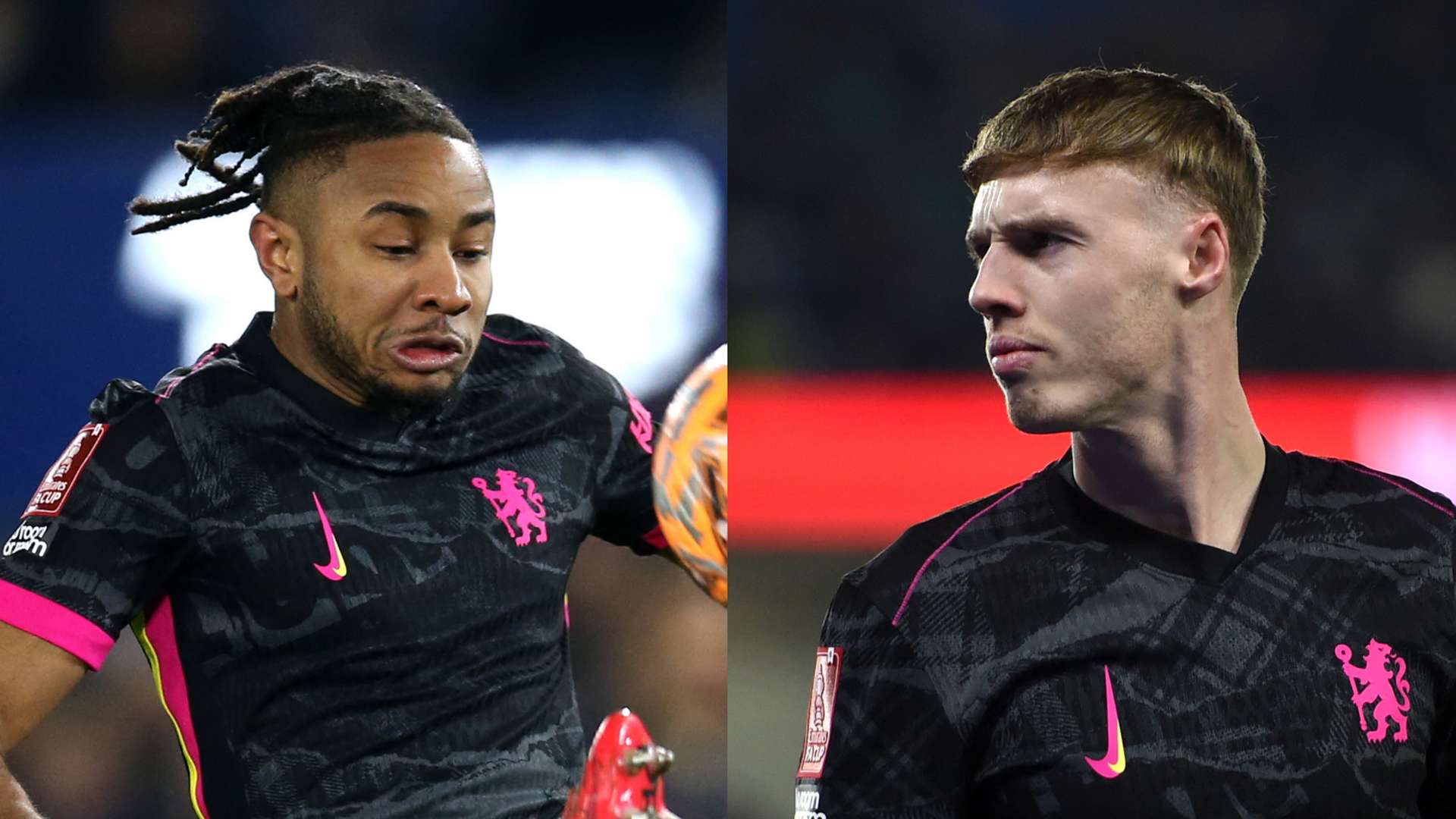 们的启示 们的启示